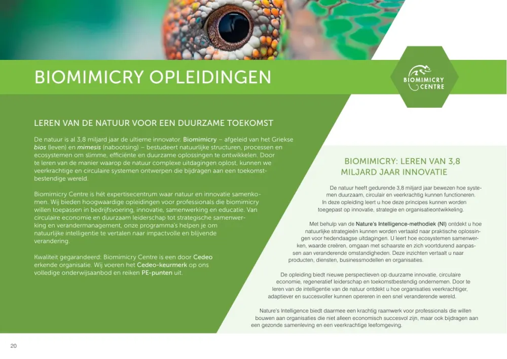 Opleidingsgids 2026/2027 - 20