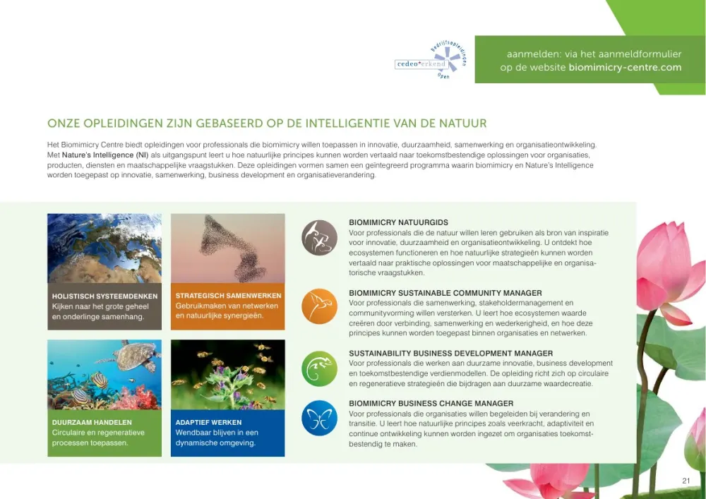 Opleidingsgids 2026/2027 - 21