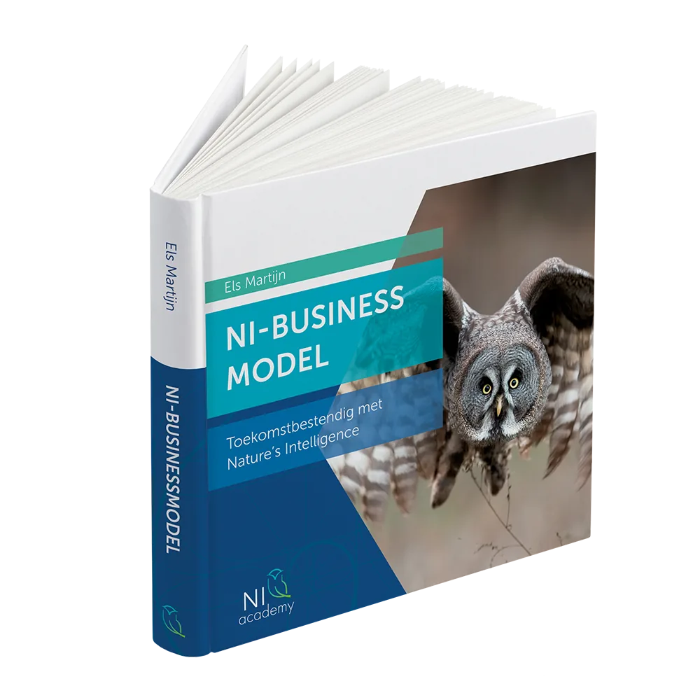 NI-Businessmodel