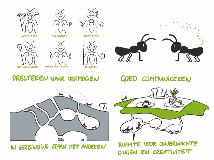 Symbiontencultuur